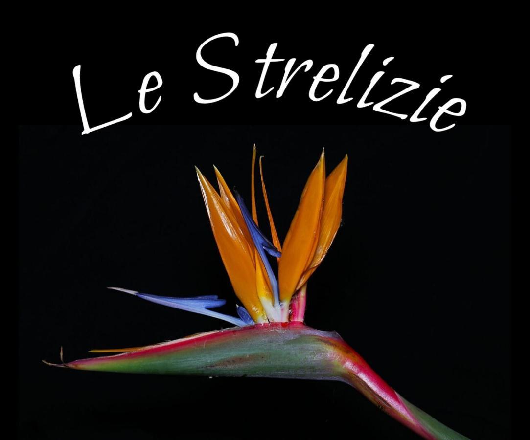奥尼萨诺Le Strelizie公寓 外观 照片